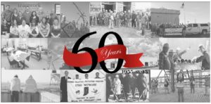 black and white photo collage celebrating 65 years